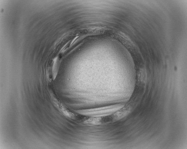 X0000087550138200705112131