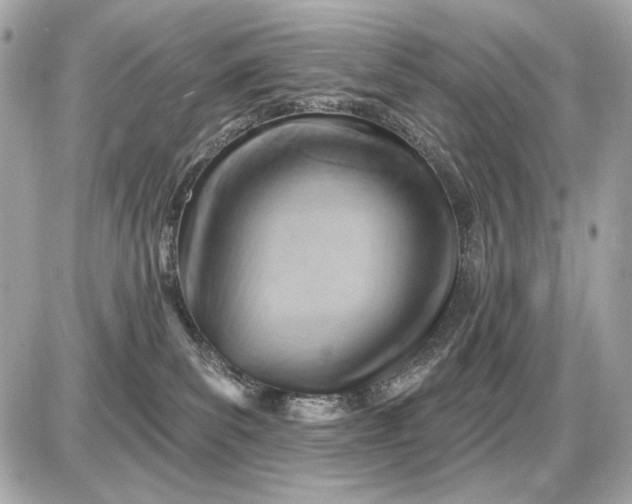 X0000087550139200705112131