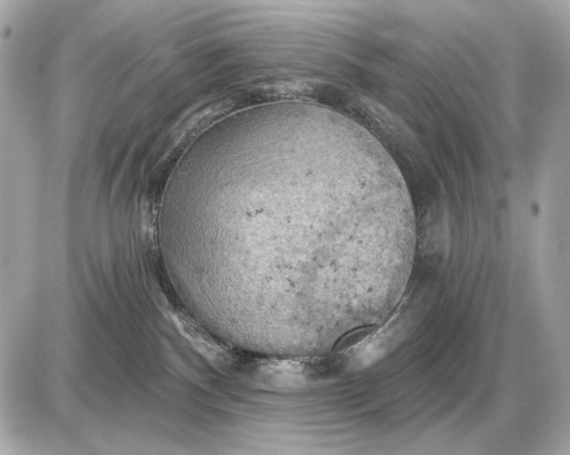 X0000087550140200705112131