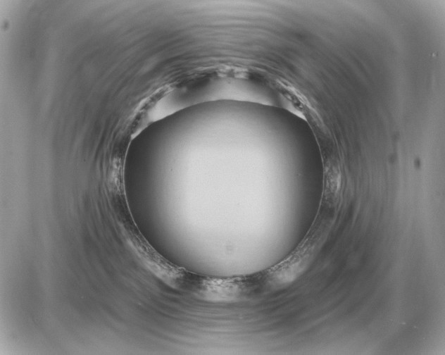 X0000087550141200705112131