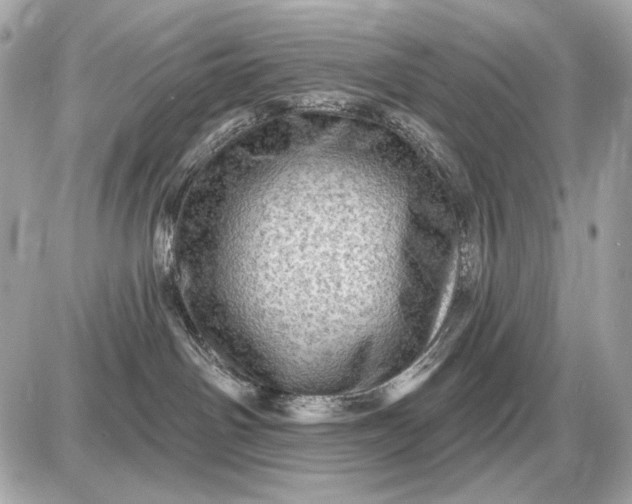 X0000087550142200705112131