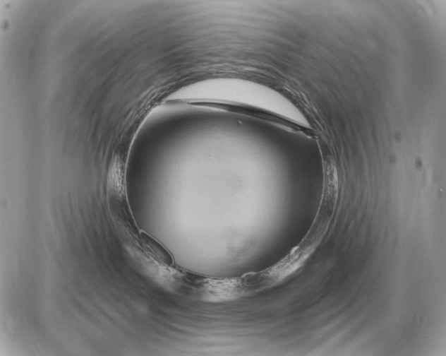 X0000087550143200705112131