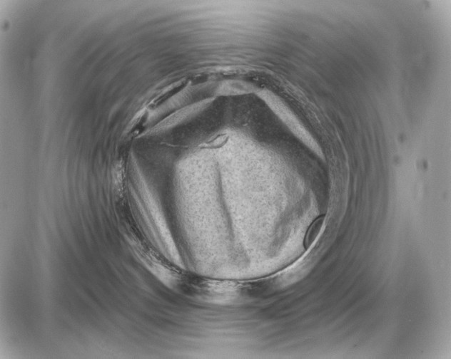 X0000087550144200705112131