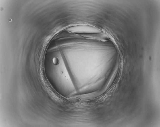 X0000087550145200705112130