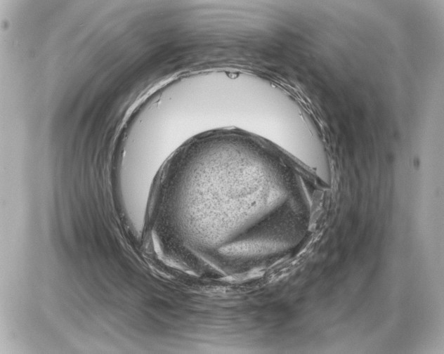 X0000087550146200705112130