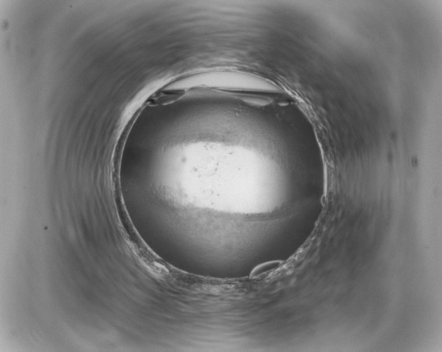 X0000087550147200705112130