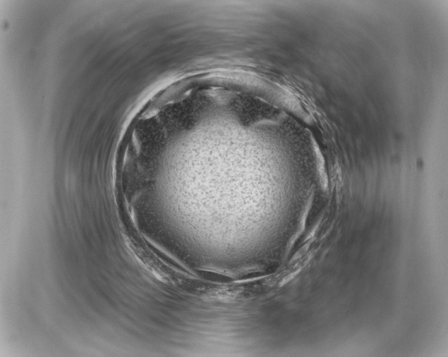 X0000087550148200705112130