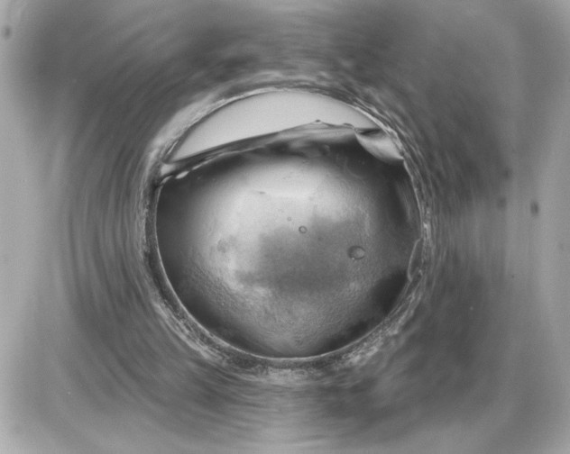 X0000087550149200705112130