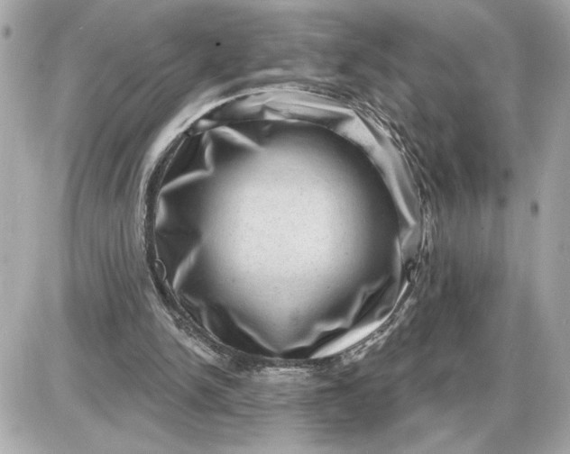 X0000087550150200705112130