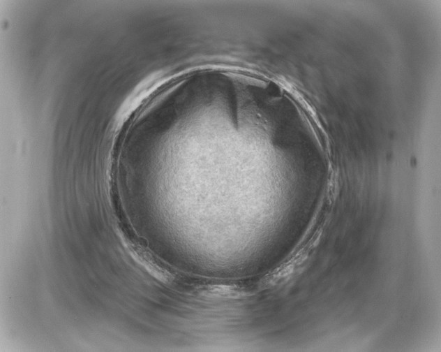 X0000087550151200705112130