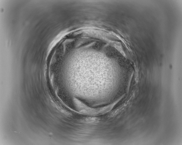 X0000087550152200705112130