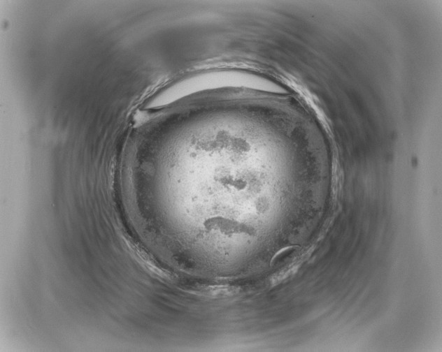 X0000087550153200705112130