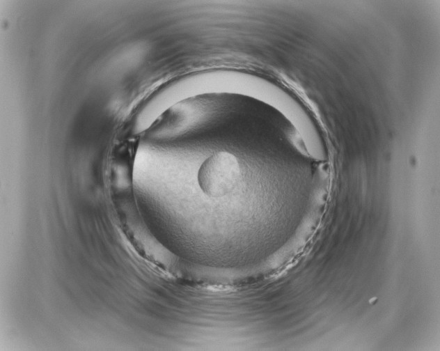 X0000087550154200705112130