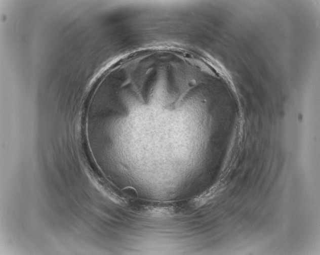 X0000087550155200705112130