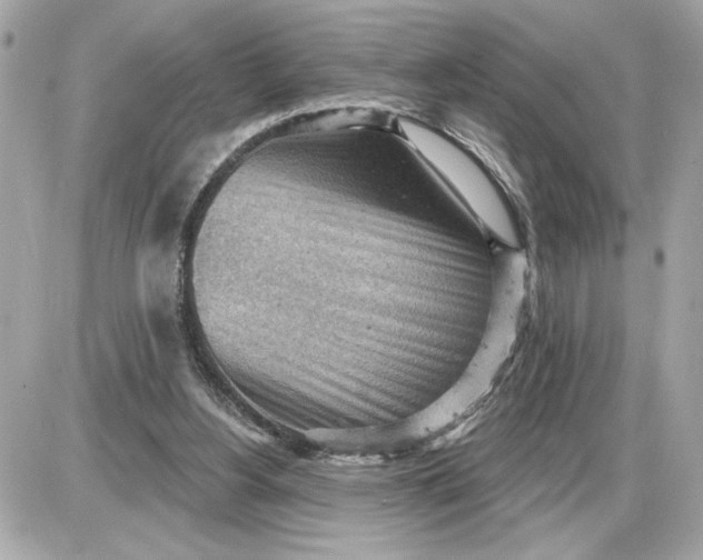 X0000087550156200705112130