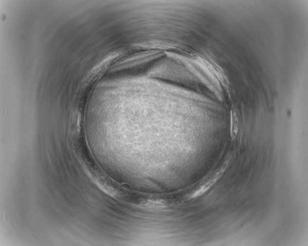 X0000087550157200705112130