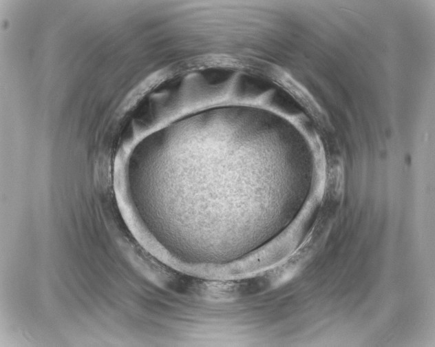 X0000087550158200705112130