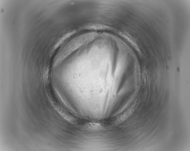 X0000087550159200705112130