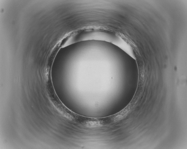 X0000087550160200705112130