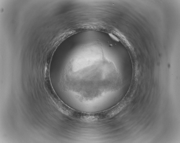 X0000087550161200705112130