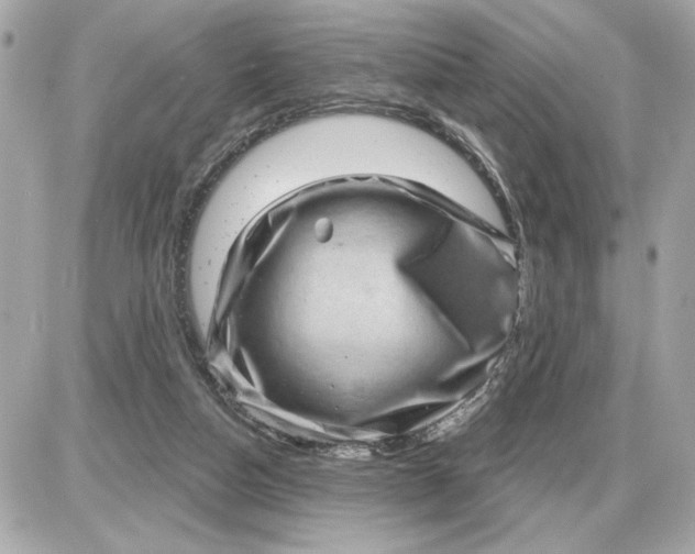 X0000087550162200705112130