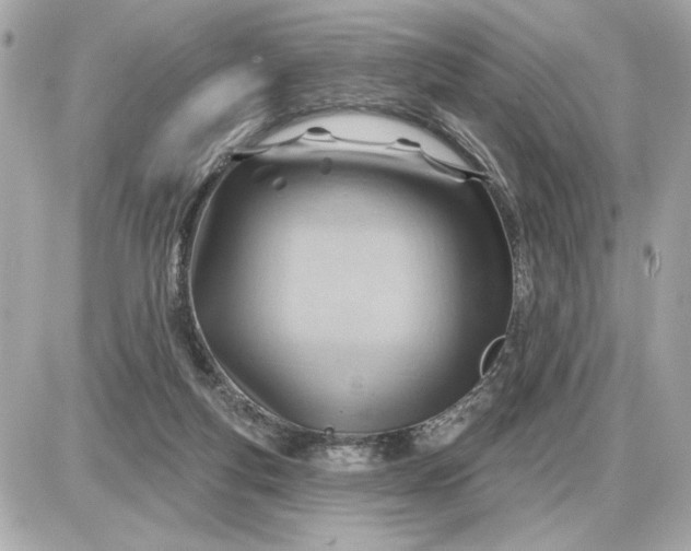 X0000087550163200705112130