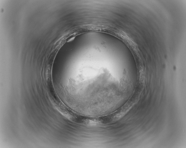 X0000087550165200705112130