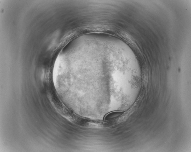 X0000087550167200705112130