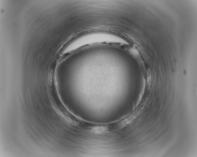 X0000087550168200705112130