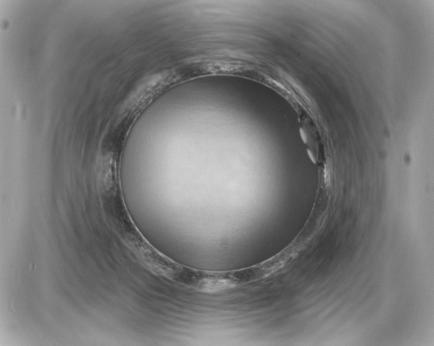 X0000087550169200705112130