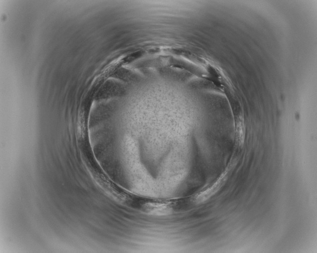 X0000087550170200705112130