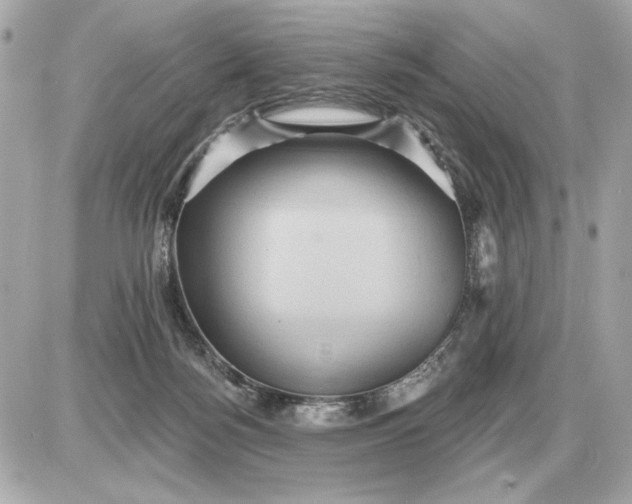 X0000087550172200705112130