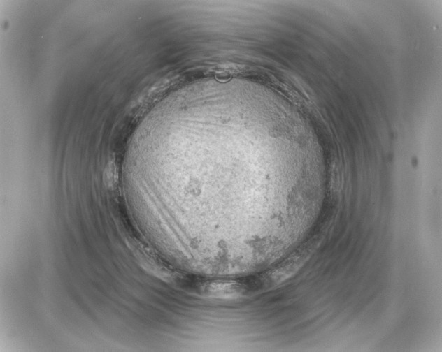 X0000087550173200705112130