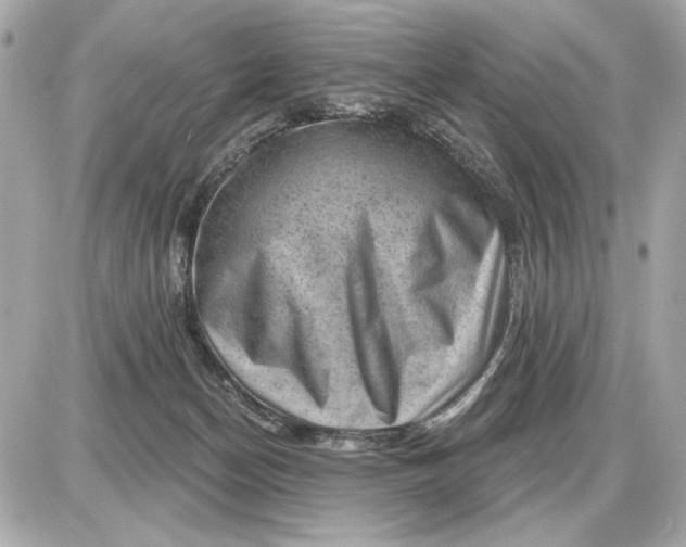 X0000087550174200705112130