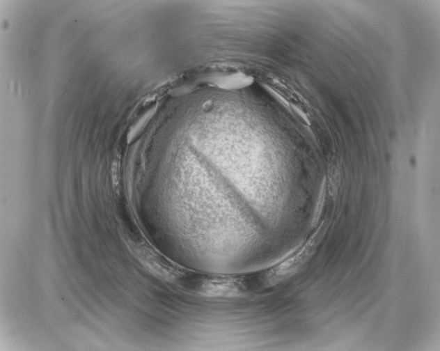 X0000087550175200705112130