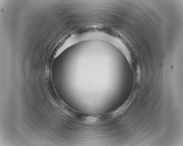 X0000087550176200705112130