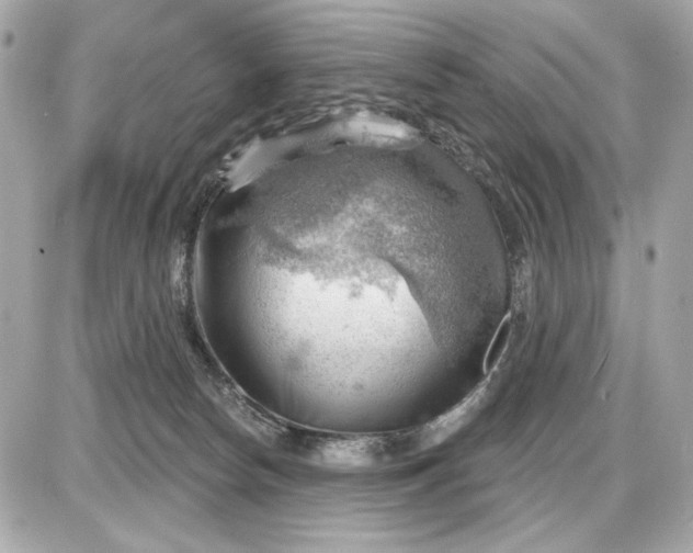 X0000087550178200705112130