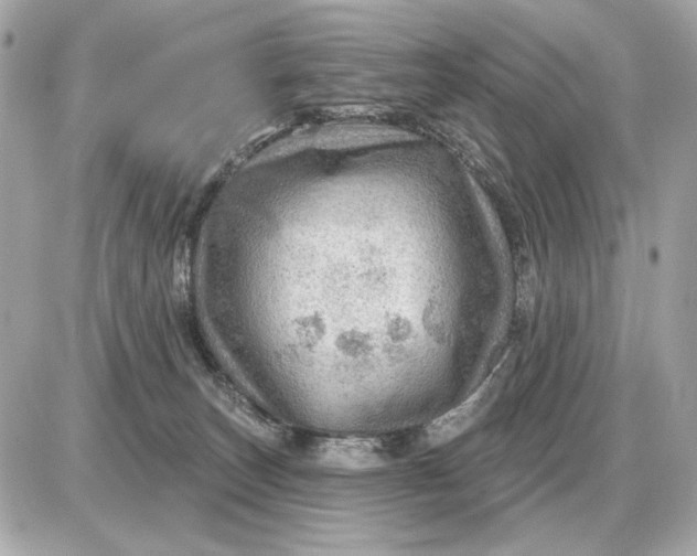 X0000087550179200705112130