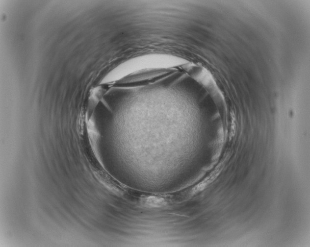 X0000087550180200705112130