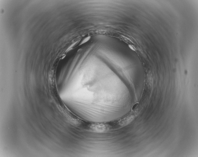 X0000087550181200705112130