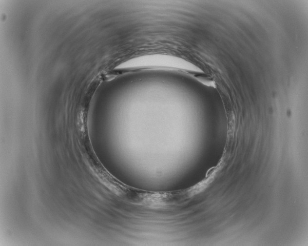 X0000087550182200705112130