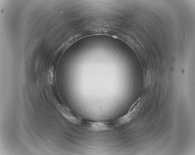 X0000087550183200705112130