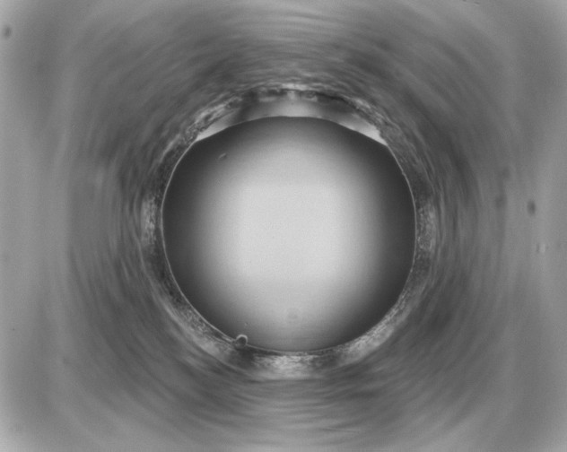 X0000087550184200705112130