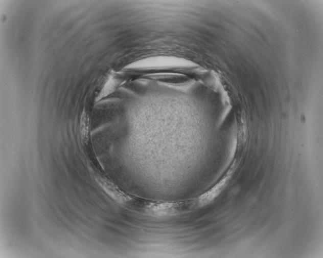 X0000087550186200705112130