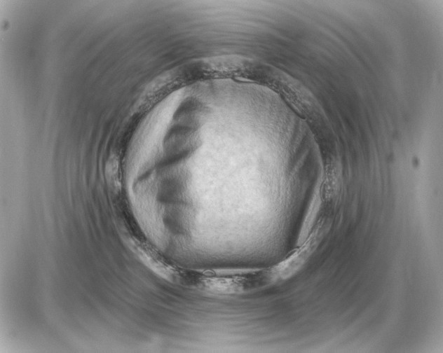 X0000087550187200705112131