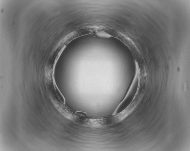 X0000087550188200705112131