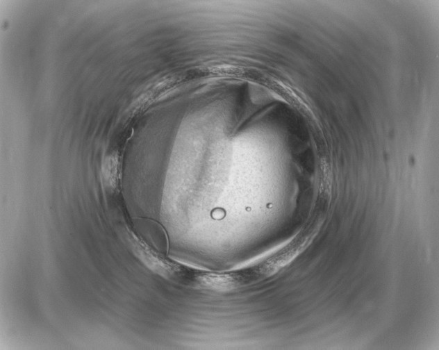 X0000087550189200705112131