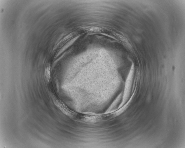 X0000087550190200705112131