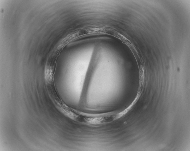 X0000087550191200705112131