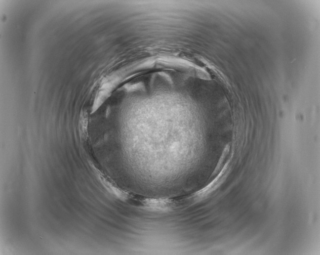 X0000087550192200705112131